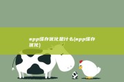 app缓存优化是什么 (app缓存优化)