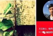 SEO从业者必看！实操干货分享，助你坚定前行破困境
