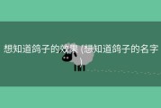 想知道鸽子的效果 (想知道鸽子的名字)