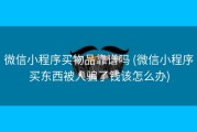 微信小程序买物品靠谱吗 (微信小程序买东西被人骗了钱该怎么办)