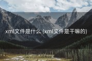 xml文件是什么 (xml文件是干嘛的)
