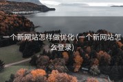 一个新网站怎样做优化 (一个新网站怎么登录)