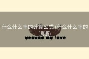 什么什么率的计算公式 (什么什么率的词语)