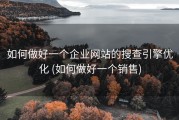 如何做好一个企业网站的搜查引擎优化 (如何做好一个销售)