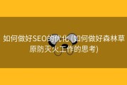 如何做好SEO的优化 (如何做好森林草原防灭火工作的思考)