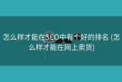 怎么样才能在SEO中有个好的排名 (怎么样才能在网上卖货)