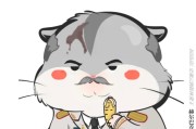 panda这英语怎样念 用汉字和语音一同来表白 (panda这个词的由来)