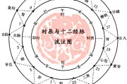 八字看职业 (八字看职业方向)