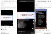 通过 Tik Tok SEO 精准引流 1000 个项目粉并变现 5 万元的秘诀