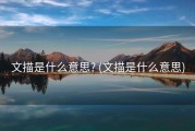 文描是什么意思? (文描是什么意思)