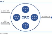 CRO客户相关优化 (cr客户关系是什么意思)