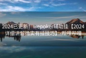 2024已更新！wepoker辅助挂【2024详细讲解确实有挂技巧】-哔哩哔哩