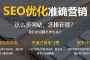 SEO搜查引擎是什么意思 (搜索seo引擎)