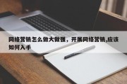 网络营销怎么做大做强，开展网络营销,应该如何入手