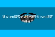 建立seo博客的好处有哪些 (seo博客教程)