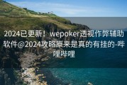 2024已更新！wepoker透视作弊辅助软件@2024攻略原来是真的有挂的-哔哩哔哩