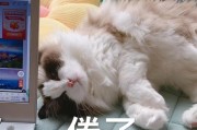 SEO大抵包括哪些内容?