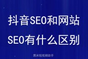 seo有什么出路 搜外师兄浅谈SEO的出路 (seo有什么作用)