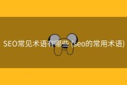 SEO常见术语有哪些 (seo的常用术语)