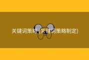 关键词策略 (关键词策略制定)