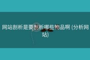 网站剖析是要剖析哪些物品啊 (分析网站)
