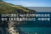 2024已更新！AA扑克作弊辅助挂透视软件【其实是真的有挂的】-哔哩哔哩