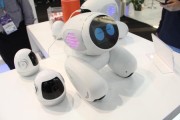 英语robots怎样读 robots怎样读