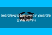 搜索引擎营销有哪些方式呢 (搜索引擎营销名词解释)