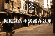 伴米网2016年回顾：从美国到日本，珍贵相遇的故事与感动