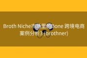 Broth Niche市场里的Bone 跨境电商案例分析3 (brothner)