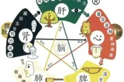 医药五行属于什么行业 (医药五行属于什么行业 五行属木吗)