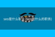 seo是什么职业 (seo是什么的职务)