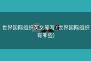 世界国际组织英文缩写 (世界国际组织有哪些)