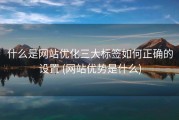 什么是网站优化三大标签如何正确的设置 (网站优势是什么)