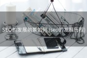 SEO的发展前景如何 (seo的发展历程)