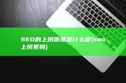 SEO的上班原理是什么呢 (seo上班累吗)