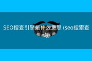 SEO搜查引擎是什么意思 (seo搜索查询)