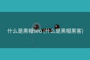 什么是黑帽seo (什么是黑帽黑客)