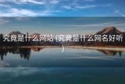 究竟是什么网站 (究竟是什么网名好听)