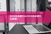 SEO技术是什么 (SEO技术是什么意思)