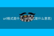 url格式是什么 (url格式是什么意思)