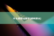 什么是默认助手 (啥叫默认)