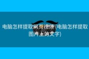 电脑怎样提取网页视频 (电脑怎样提取图片上的文字)