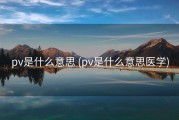 pv是什么意思 (pv是什么意思医学)