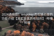 2024透明挂！wepoker透视辅助挂的功能介绍【其实是真的有挂的】-哔哩哔哩