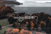 seo (seo网站推广)