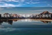 微信有什么小游戏 (微信什么小游戏可以赚钱)