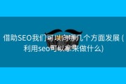 借助SEO我们可以向哪几个方面发展 (利用seo可以拿来做什么)