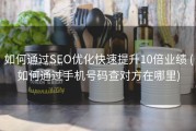如何通过SEO优化快速提升10倍业绩 (如何通过手机号码查对方在哪里)