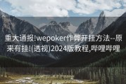 重大通报!wepoker作弊开挂方法--原来有挂!(透视)2024版教程,哔哩哔哩